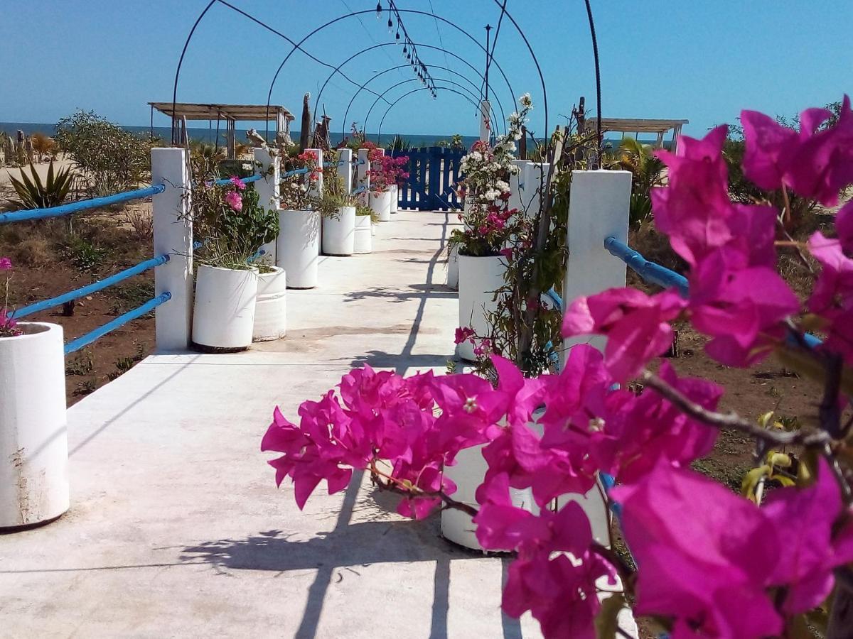 מאהאג'נגה Cytyz Appart Hotel מראה חיצוני תמונה